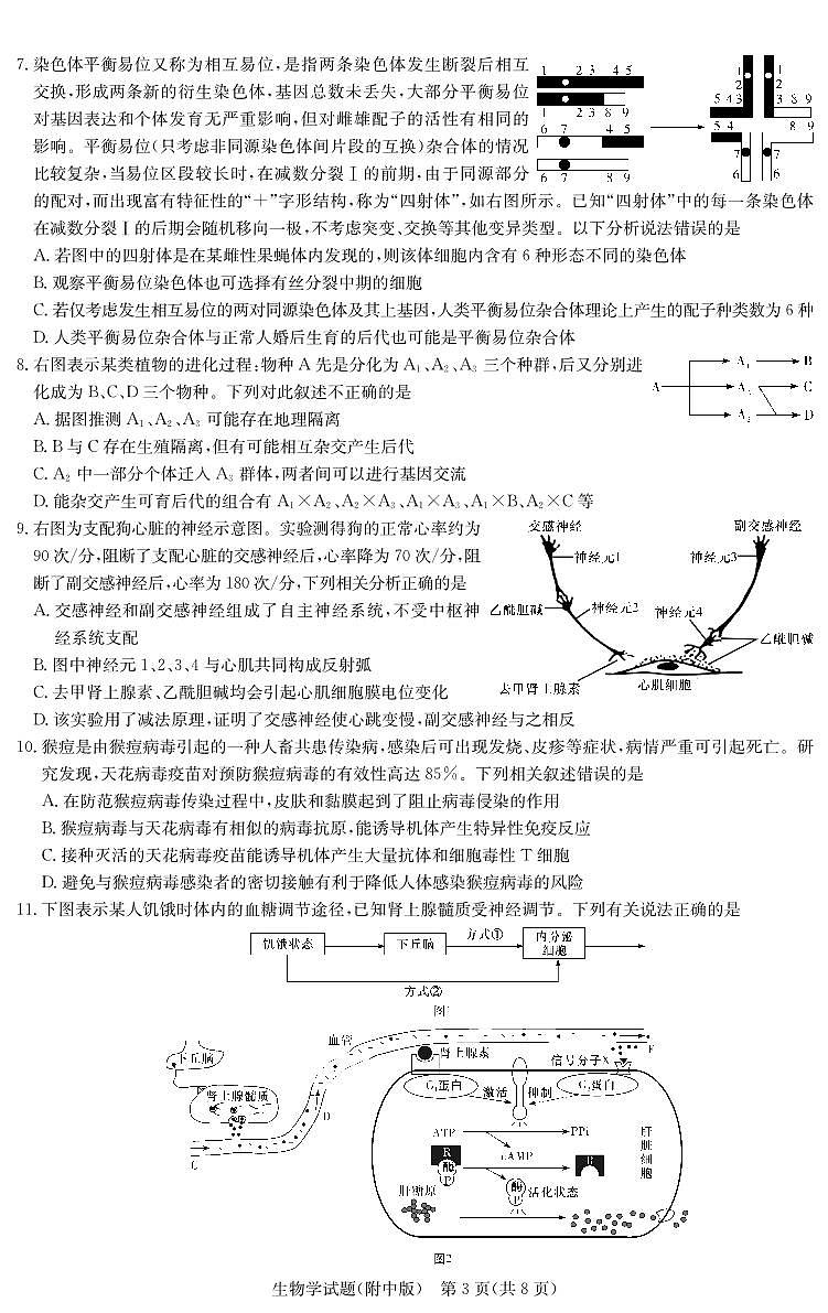湖南师范大学附属中学2023-2024学年高三下学期第六次月考生物试卷（PDF版附答案）03