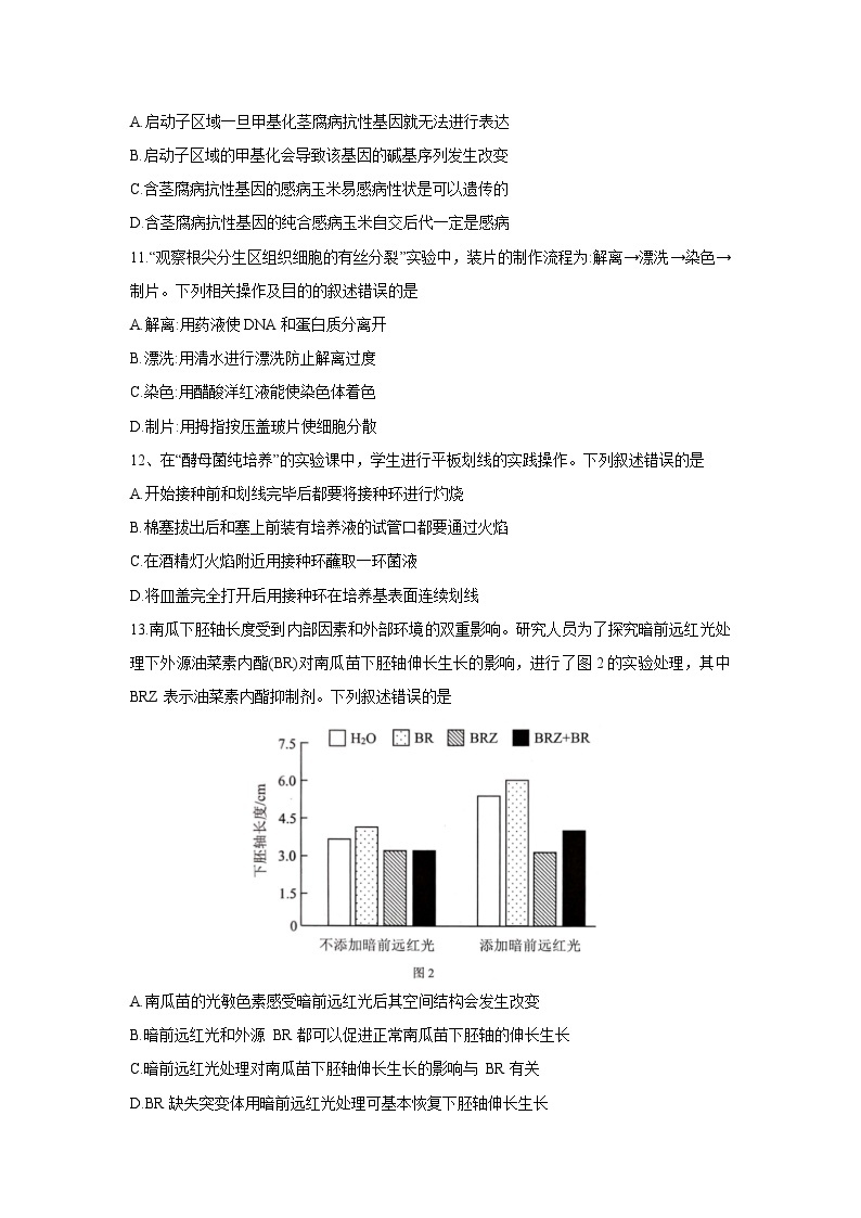 2024 年深圳市高三年级第一次调研考试生物试题03