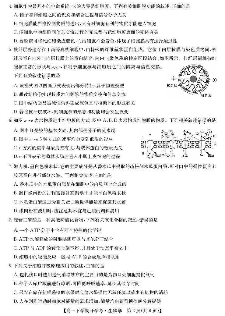 江西省赣州市2023-2024学年高一下学期开学考生物试题02