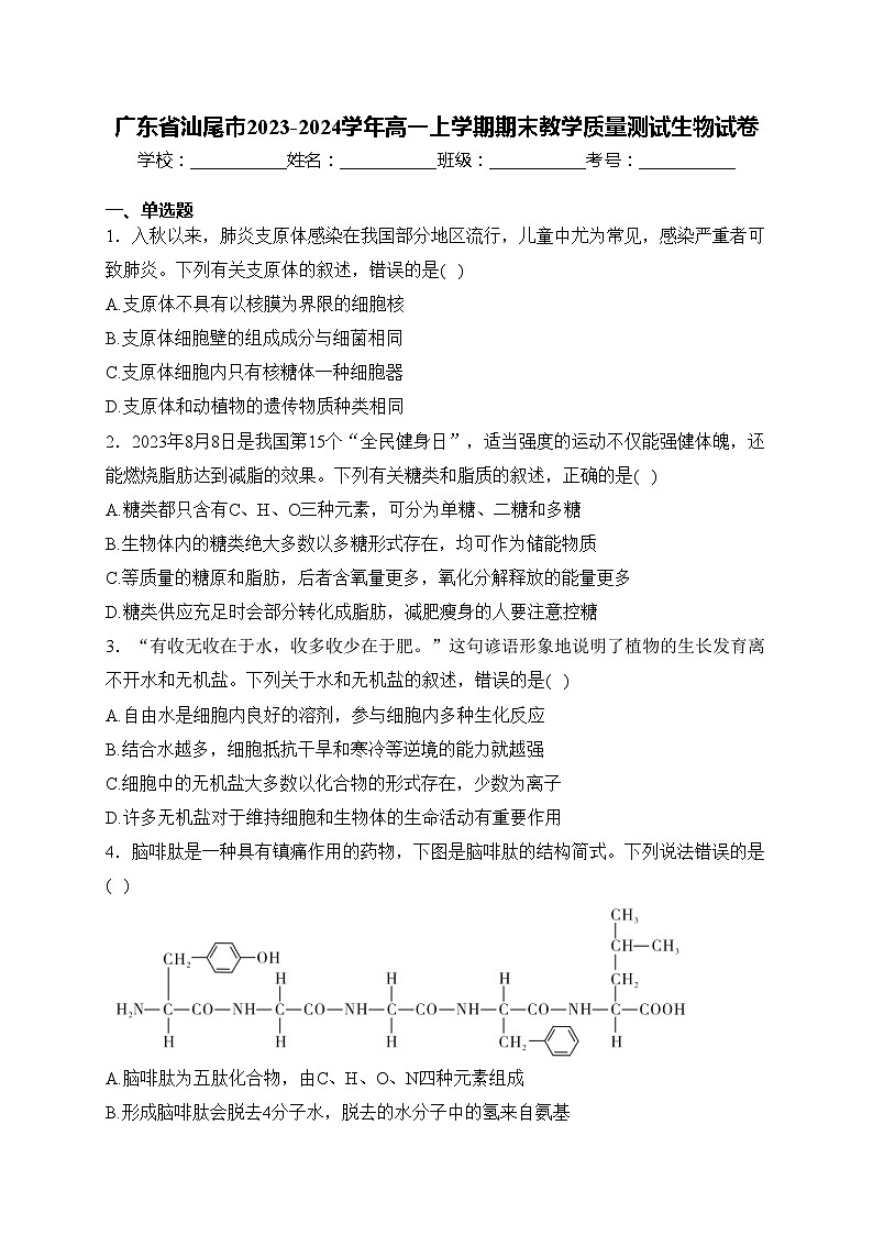 广东省汕尾市2023-2024学年高一上学期期末教学质量测试生物试卷(含答案)01