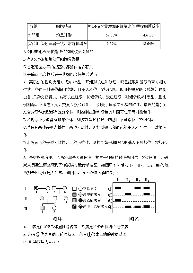 河南省光山县第二高级中学2024届高三上学期11月期中考试生物试卷(含答案)03