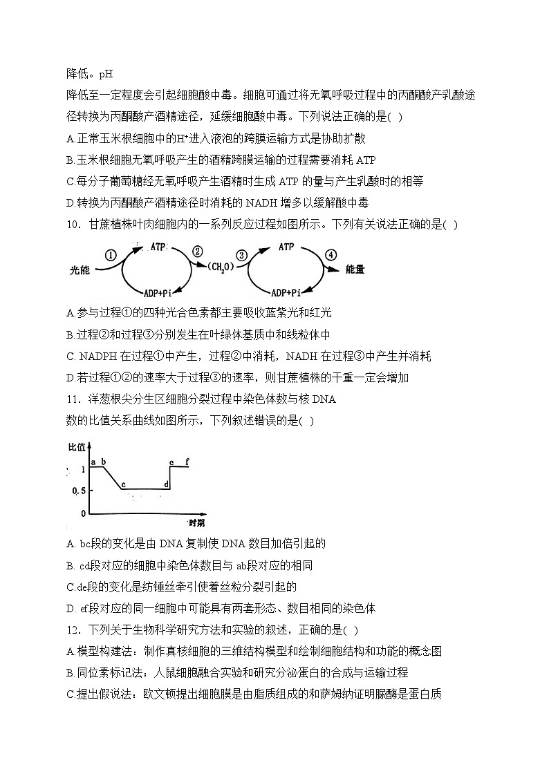 河南省洛阳市2023-2024学年高一上学期期末考试生物试卷(含答案)第3页