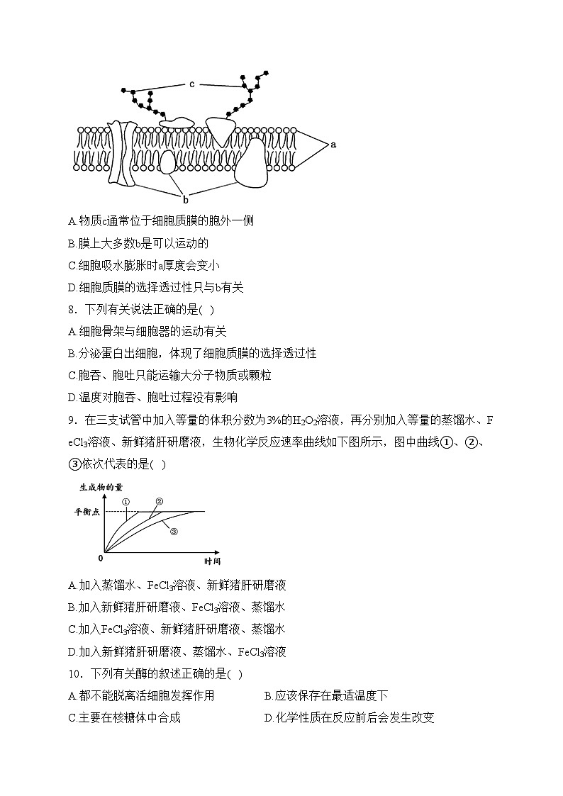 江苏省扬州市2023-2024学年高一上学期1月期末检测生物试卷(含答案)02