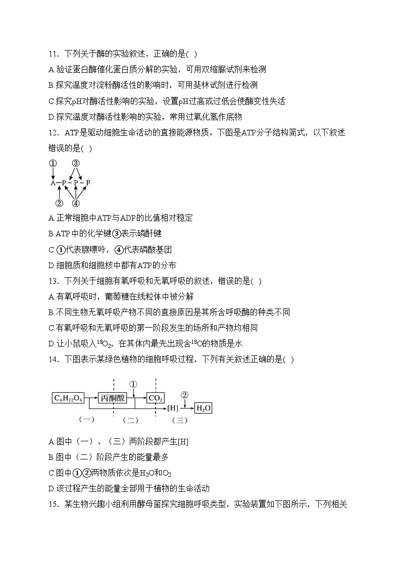 江苏省扬州市2023-2024学年高一上学期1月期末检测生物试卷(含答案)03