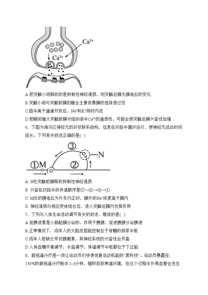 陕西省宝鸡市渭滨区2023-2024学年高二上学期期末考试生物试卷(含答案)02