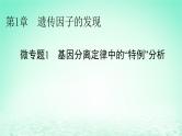 2024春高中生物第1章遗传因子的发现微专题1基因分离定律中的“特例”分析课件（人教版必修2）