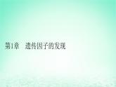 2024春高中生物第1章遗传因子的发现1孟德尔的豌豆杂交实验一课件（人教版必修2）