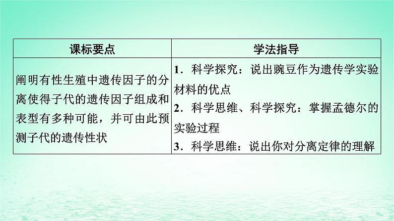 2024春高中生物第1章遗传因子的发现1孟德尔的豌豆杂交实验一课件（人教版必修2）06