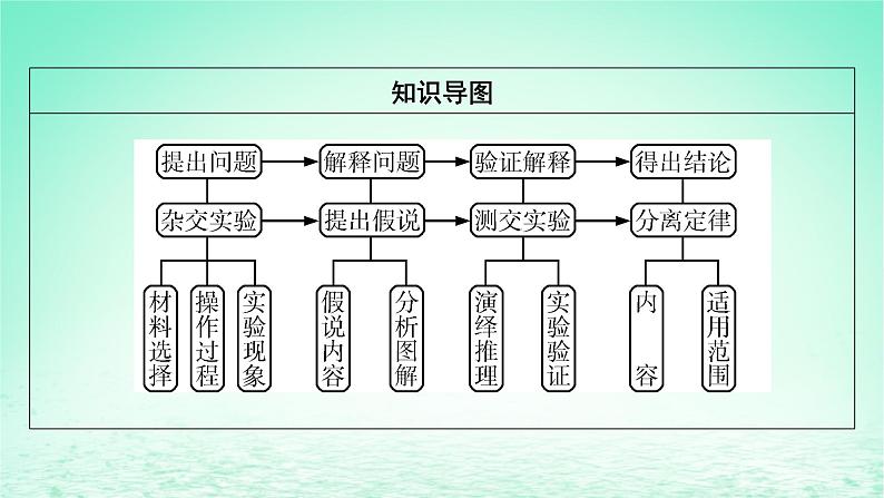 2024春高中生物第1章遗传因子的发现1孟德尔的豌豆杂交实验一课件（人教版必修2）07