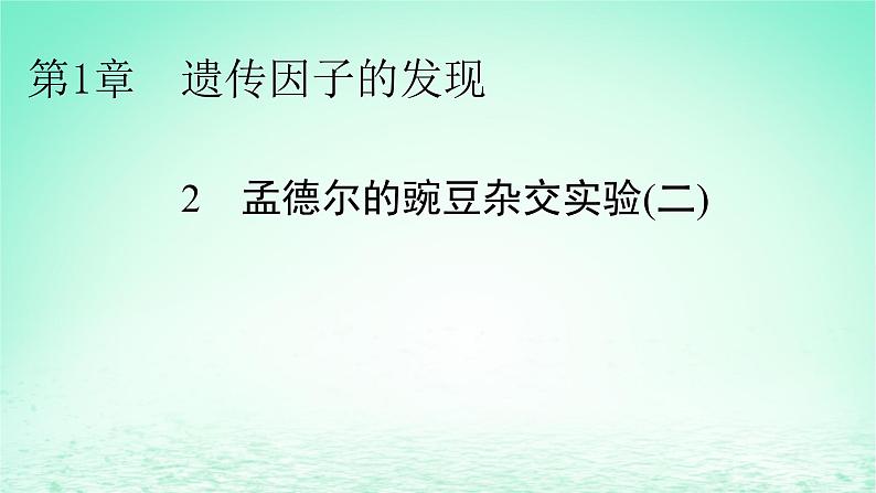 2024春高中生物第1章遗传因子的发现2孟德尔的豌豆杂交实验二课件（人教版必修2）第1页