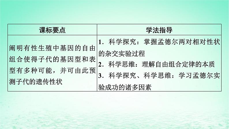 2024春高中生物第1章遗传因子的发现2孟德尔的豌豆杂交实验二课件（人教版必修2）第2页