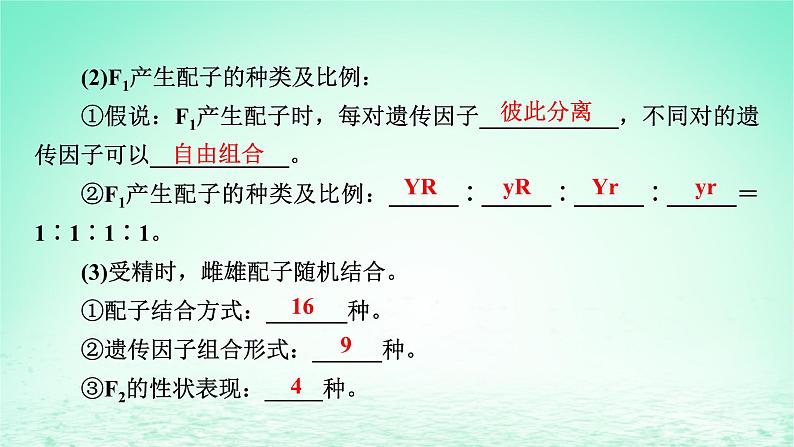 2024春高中生物第1章遗传因子的发现2孟德尔的豌豆杂交实验二课件（人教版必修2）第8页