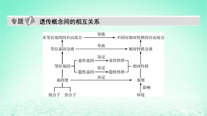 2024春高中生物第1章遗传因子的发现章末总结课件（人教版必修2）第5页