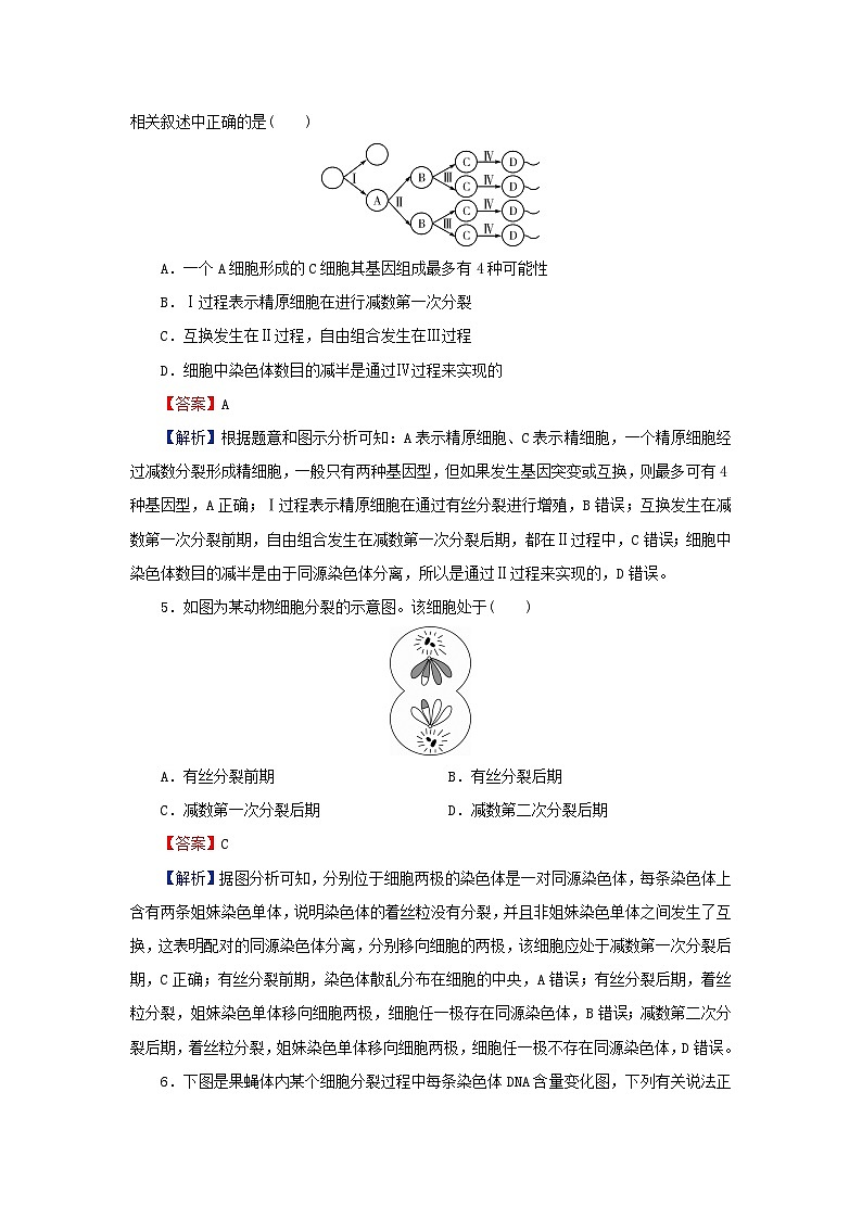 2024春高中生物第2章基因和染色体的关系达标检测卷（人教版必修2）02
