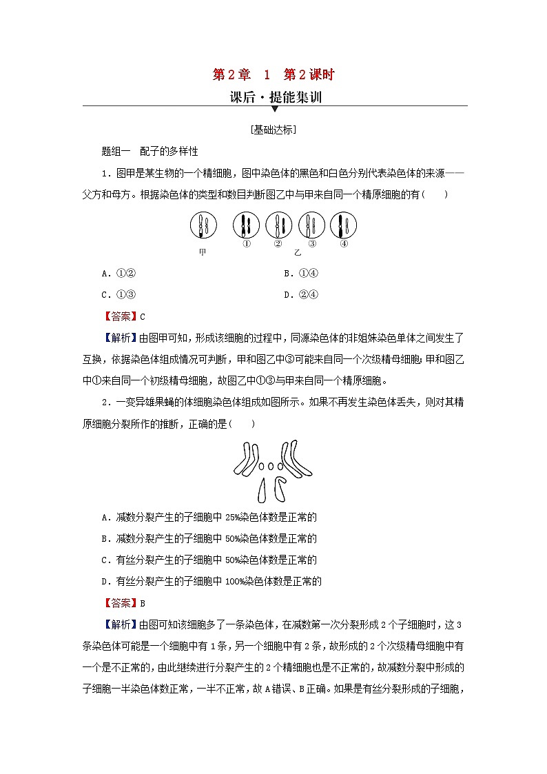 2024春高中生物第2章基因和染色体的关系1减数分裂和受精作用第2课时受精作用课后提能训练（人教版必修2）01