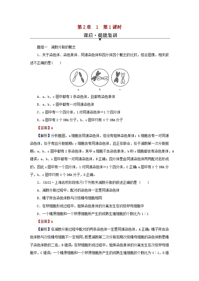 2024春高中生物第2章基因和染色体的关系1减数分裂和受精作用第1课时减数分裂含实验课后提能训练（人教版必修2）第1页