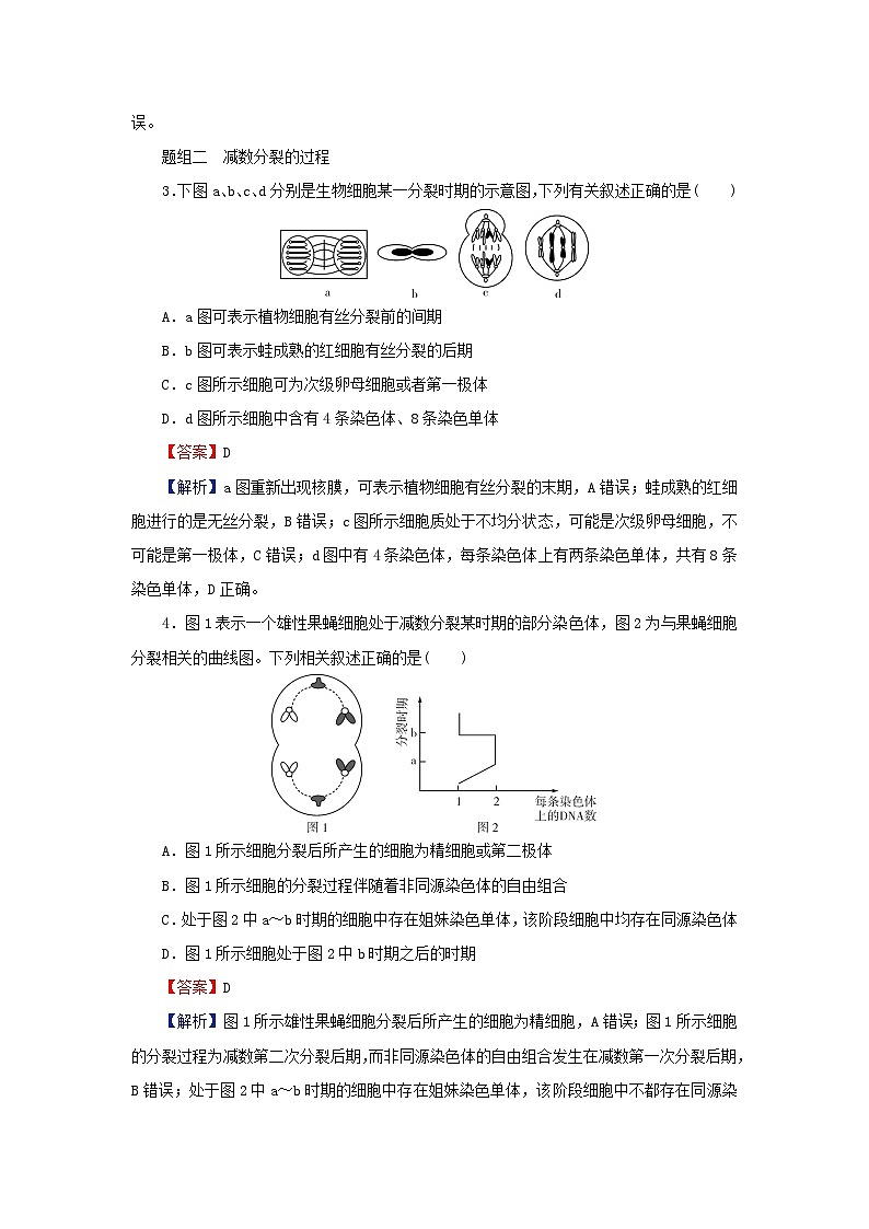 2024春高中生物第2章基因和染色体的关系1减数分裂和受精作用第1课时减数分裂含实验课后提能训练（人教版必修2）第2页
