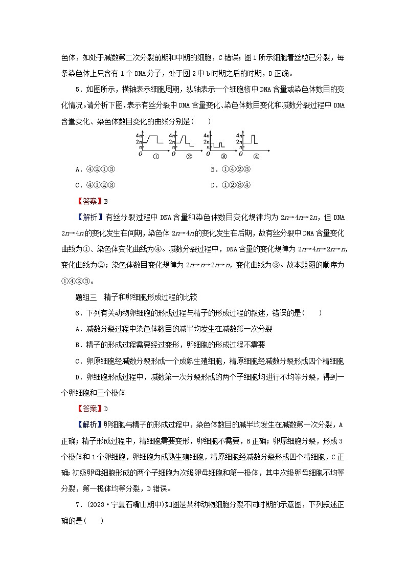 2024春高中生物第2章基因和染色体的关系1减数分裂和受精作用第1课时减数分裂含实验课后提能训练（人教版必修2）第3页