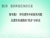 2024春高中生物第2章基因和染色体的关系微专题5伴性遗传中的致死问题及遗传系谱图的“四步”分析法课件（人教版必修2）
