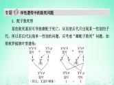 2024春高中生物第2章基因和染色体的关系微专题5伴性遗传中的致死问题及遗传系谱图的“四步”分析法课件（人教版必修2）