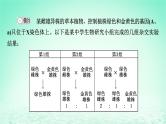 2024春高中生物第2章基因和染色体的关系微专题5伴性遗传中的致死问题及遗传系谱图的“四步”分析法课件（人教版必修2）