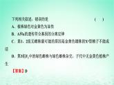 2024春高中生物第2章基因和染色体的关系微专题5伴性遗传中的致死问题及遗传系谱图的“四步”分析法课件（人教版必修2）