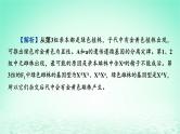 2024春高中生物第2章基因和染色体的关系微专题5伴性遗传中的致死问题及遗传系谱图的“四步”分析法课件（人教版必修2）
