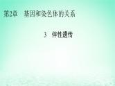 2024春高中生物第2章基因和染色体的关系3伴性遗传课件（人教版必修2）