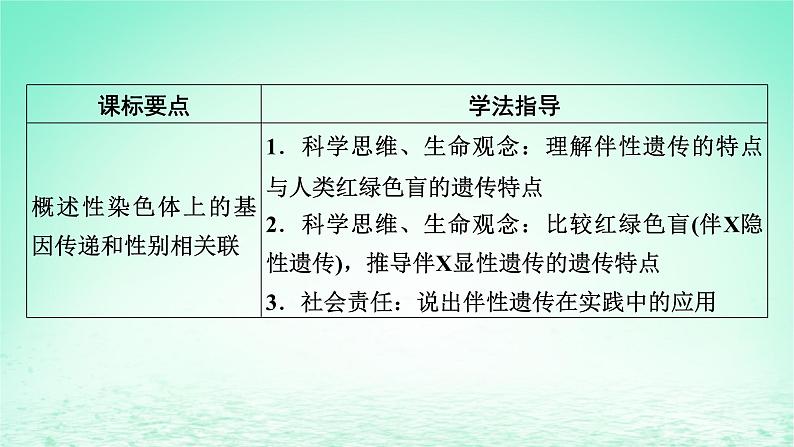 2024春高中生物第2章基因和染色体的关系3伴性遗传课件（人教版必修2）02