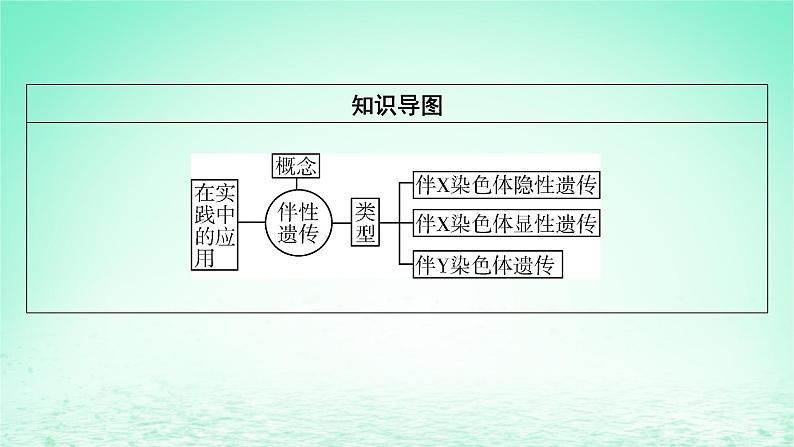 2024春高中生物第2章基因和染色体的关系3伴性遗传课件（人教版必修2）03