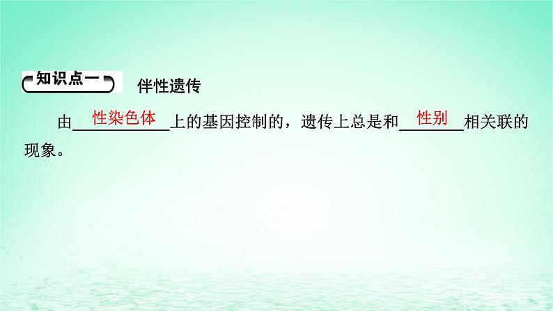 2024春高中生物第2章基因和染色体的关系3伴性遗传课件（人教版必修2）05