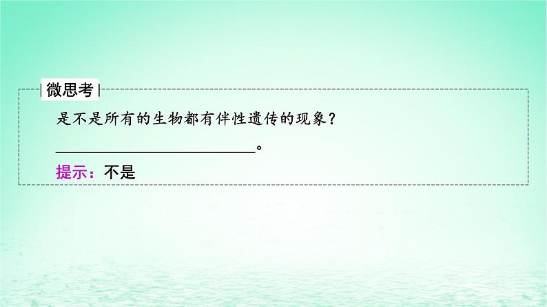 2024春高中生物第2章基因和染色体的关系3伴性遗传课件（人教版必修2）06