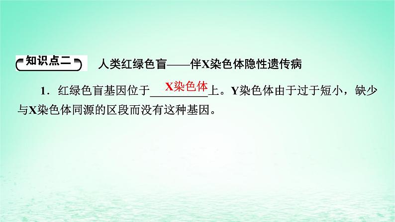 2024春高中生物第2章基因和染色体的关系3伴性遗传课件（人教版必修2）07