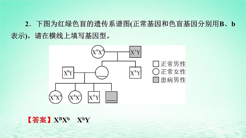 2024春高中生物第2章基因和染色体的关系3伴性遗传课件（人教版必修2）08