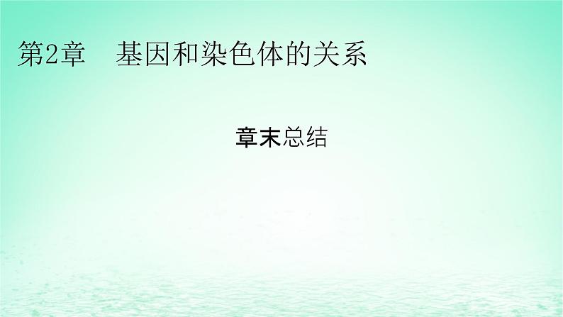 2024春高中生物第2章基因和染色体的关系章末总结课件（人教版必修2）第1页