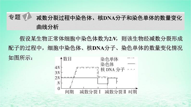 2024春高中生物第2章基因和染色体的关系章末总结课件（人教版必修2）第5页