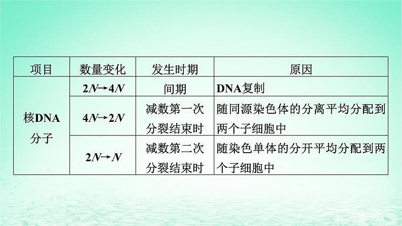 2024春高中生物第2章基因和染色体的关系章末总结课件（人教版必修2）第6页