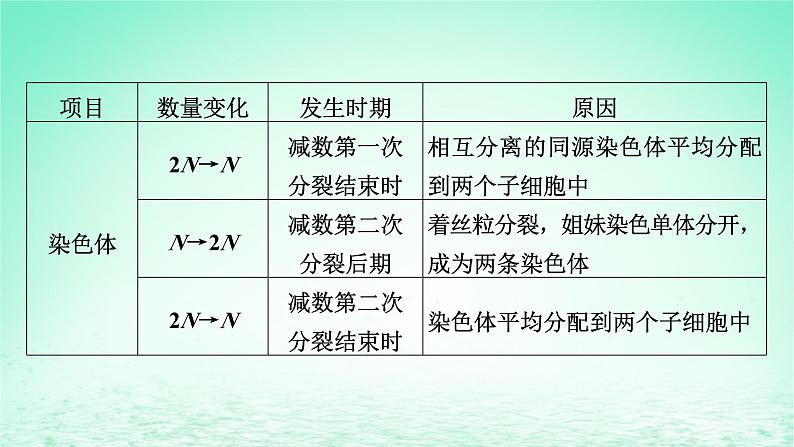 2024春高中生物第2章基因和染色体的关系章末总结课件（人教版必修2）第7页