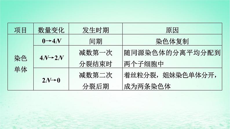 2024春高中生物第2章基因和染色体的关系章末总结课件（人教版必修2）第8页