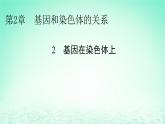 2024春高中生物第2章基因和染色体的关系2基因在染色体上课件（人教版必修2）