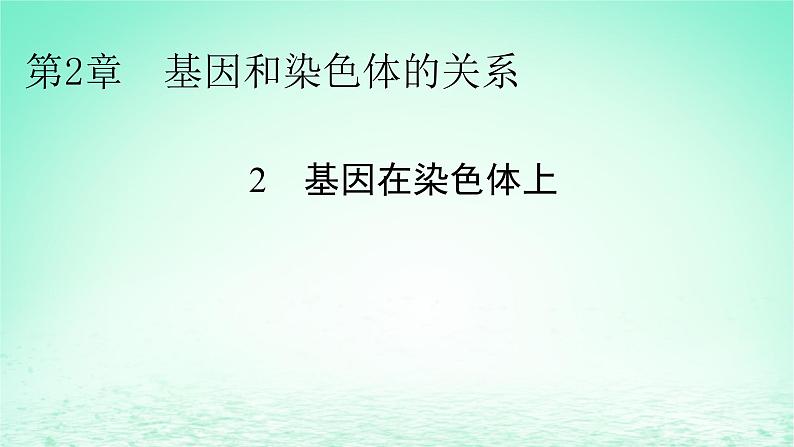 2024春高中生物第2章基因和染色体的关系2基因在染色体上课件（人教版必修2）01