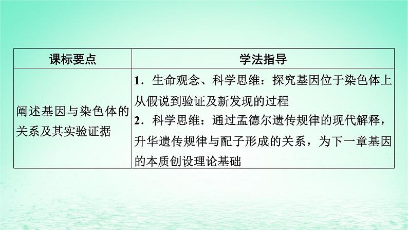 2024春高中生物第2章基因和染色体的关系2基因在染色体上课件（人教版必修2）02