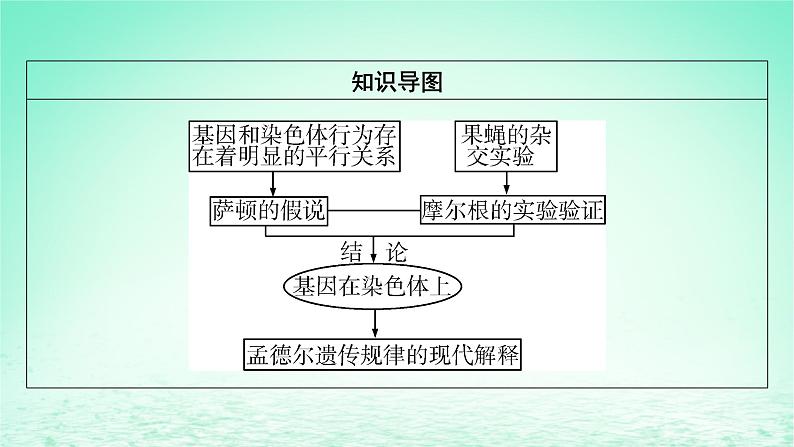 2024春高中生物第2章基因和染色体的关系2基因在染色体上课件（人教版必修2）03