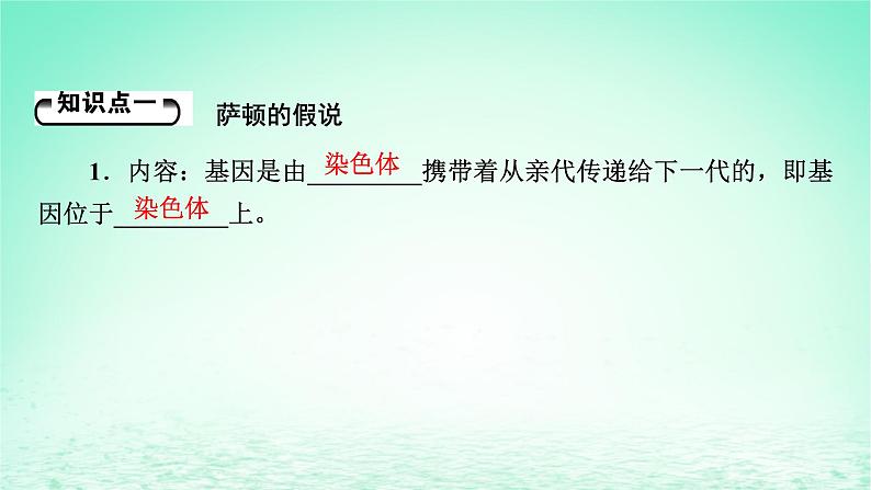 2024春高中生物第2章基因和染色体的关系2基因在染色体上课件（人教版必修2）05