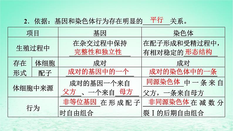 2024春高中生物第2章基因和染色体的关系2基因在染色体上课件（人教版必修2）06