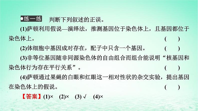 2024春高中生物第2章基因和染色体的关系2基因在染色体上课件（人教版必修2）08