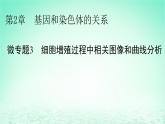 2024春高中生物第2章基因和染色体的关系微专题3细胞增殖过程中相关图像和曲线分析课件（人教版必修2）