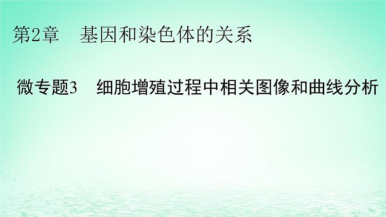 2024春高中生物第2章基因和染色体的关系微专题3细胞增殖过程中相关图像和曲线分析课件（人教版必修2）01