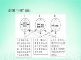 2024春高中生物第2章基因和染色体的关系微专题3细胞增殖过程中相关图像和曲线分析课件（人教版必修2）