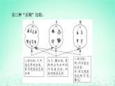 2024春高中生物第2章基因和染色体的关系微专题3细胞增殖过程中相关图像和曲线分析课件（人教版必修2）